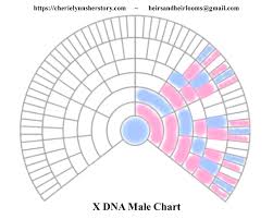 X Dna Its A Girl Thing And We Included The Boys
