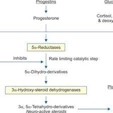 Pdf The Dark Side Of 5a Reductase Inhibitors Therapy Sexual Dysfunction High Gleason Grade Prostate Cancer And Depression