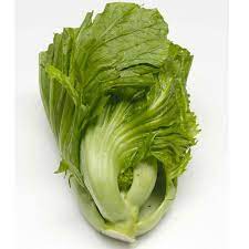 Gambar baru diunggah setiap minggu. Isi 30 Benih Sawi Pahit Biji Bibit Sayur Shopee Indonesia