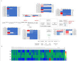 If you have already my select port: Expression Of Ga Mst Pathway Genes During Berry Development A Gene Download Scientific Diagram