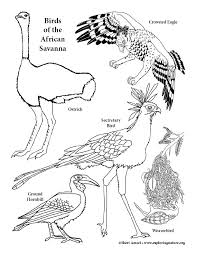 It contains hugely popular tracks such as gummo, kooda and keke. Animals Of The African Savanna Coloring Page T14 Coloring Pages Organize