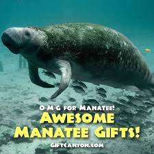 super awesome manatee gifts o m g for