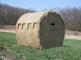 Levi Poole (camoguypoole724)