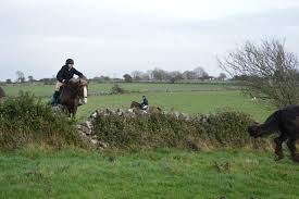 Cactus jack will start off the fight by shooting needles at croc. Cactus Jack Guiding Martin On His Very First Hunt Cross Country Jumps Beach Rides Hunting