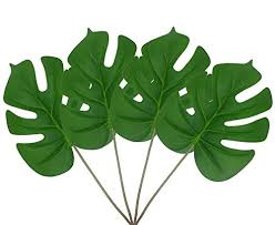 Check spelling or type a new query. Warmter Artificial Tropical Green Plant Fake Leaves Safari Party Supplies Arrangement Kitchen Outdoor Garden Wedding Festival Costume Decor 4pcs Buy Online In China At China Desertcart Com Productid 47548884