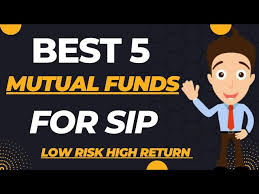 Looking For High Return Mutual Funds? Here'S How One Should Approach  Investment In Mutual Funds - Money Simplified