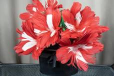 Magic in Bloom with Erica Sodos