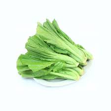mustard vegetable seeds in 2021 mustard vegetable vegetable seed vegetables