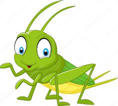 Este album de grillo dibujo con 13 fotos e imágenes no tiene descripción. Resultado De Imagen Para Dibujo De Grillo Imagenes De Insectos Imagenes De Grillos Grillos