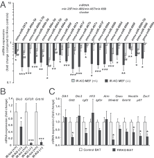 Chile, officially the republic of chile, is a country in western south america.it occupies a long, narrow strip of land between the andes to the east and the pacific ocean to the west. Imprinted Gene Expression In Ir Ko Mefs And Firko Brown Fat A Mirna Download Scientific Diagram