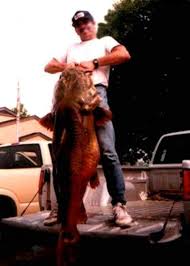 World Record Flathead Catfish Weighing 123 Pounds From Elk