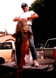World Record Flathead Catfish Weighing 123 Pounds From Elk