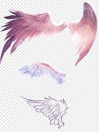 Eats seeds, fruits, insects and caterpillars. Four Wings Illustration Bird Flight Wing Feather Fantasy Wings Purple White Violet Png Pngwing