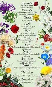 Birth month flowers and their meanings. Discover The Birth Month Flowers And Flower Meanings Here Birth Flowers Birth Month Flowers Month Flowers