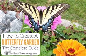 Establishing a butterfly garden at your home or workplace is a rewarding approach to attract these exquisite insects while simultaneously aiding their conservation. How To Create A Butterfly Friendly Garden Complete Guide