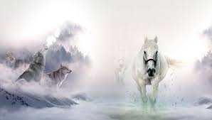 We have an extensive collection of amazing background images carefully chosen by our community. Full Hd Wolf Wallpapers For Computers