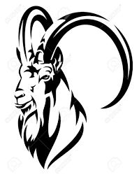 Black And White Goat Vector Pin On Bouquetin