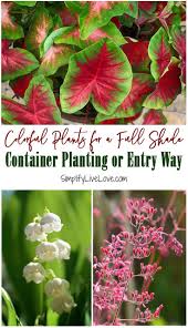 No other color flowers will bring as much sparkle and brightness to a dim area of your yard. Colorful Shade Loving Perennials For Show Stopping Containers Simplify Live Love