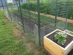 How to install chicken wire around garden. Chicken Wire Fence For Feeding Poultry Protecting Plants Prevent Animals