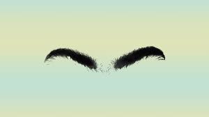 What My Unibrow Taught Me About Self-Acceptance | Teen Vogue