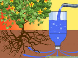 Drip irrigation systems automatically deliver the right amount of water to trees and shrubs. 13 Diy Options For A Drip Irrigation System To Save You Time And Money