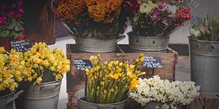Die angebotenen preise sind ausschließlich nettopreise. Garten Gerate Werkzeuge Vom Grosshandel