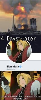 One Step Closer To Cat Girls Animememes Animememe Anime Memes Anime Memes Anime