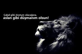 Cakal Sozler Cakallara Sozler Cakal Laflar Aslan Guzel Soz Resimler