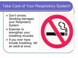 Pin By Sgthornt On Pulmonary System Respiratory System System Trouble Breathing
