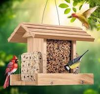 Amazon.com: Comederos para pájaros para colgar al aire libre ...