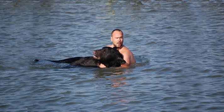 A Brave Biologist dives in and saves a drowning Black Bear