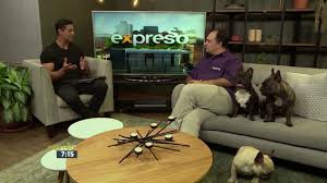 Now, when we have bravecto with us, we can fight the problem quickly. How Bravecto Works Bravceto Youtube