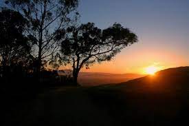 Trail Trekkers Forge A New Path In El Cerrito