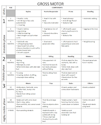 dr iman remembering developmental milestones gross motor