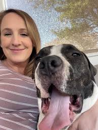 Labrador's 4th birthday celebration