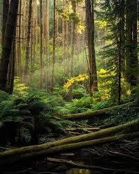 Most Of The Time I Would Completely Avoid Photographing Scenes Like This There S So Much Going On That Your Landscape Photography Landscape Nature Photography