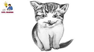 I use as many cut. Easy To Draw Cat Cool Drawing Idea