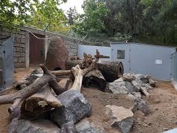 מס' 9 מתוך 18 דברים לעשות בהוף. Erdmannchenanlage Zoologischer Garten Hof Der Beutelwolf Blog