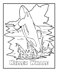 Use this iditarod word search and free printable worksheets to help students learn about this iconic dogsled race held annually in alaska. Orca Whale Coloring Pages Coloring Library