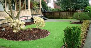 We did not find results for: Homeless In Vancouver Spread Of Fake Grass Is Worse Than Any Ills It Is Meant To Cover Up Georgia Straight Vancouver S News Entertainment Weekly