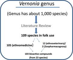 Image result for Vernonia karaguensis