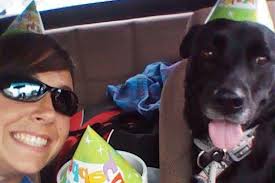 Fundraiser by Alyssa Tichauer : Fallon's Celebration of Life Fund