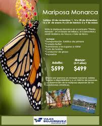 Conozca El Santuario De Las Mariposas Monarca