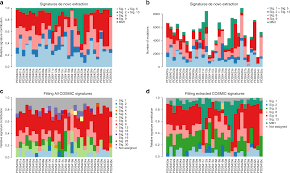 A Practical Guide For Mutational Signature Analysis In