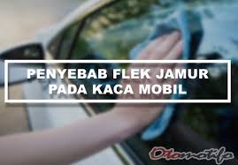 12 Pembersih Kaca Mobil Berjamur Terbaik Dan Paling Ampuh Otomotifo