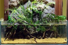 Shallow Paludarium 28liter Water Terrarium Biotope Aquarium Aquarium Fish