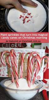 Grow Candy Canes With Magic Elf Seeds Magical Christmas Christmas Morning Christmas Fun