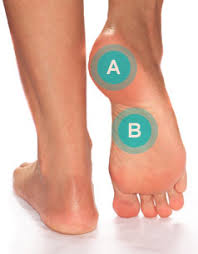 Foot Ailments Arch Plantar Fasciitis Footsmart