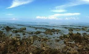 Dengan cara sadap hp pasangan ini merupakan salah satu cara untuk mengatasi kecurigaan. 10 Gambar Pantai Blebak Jepara Lokasi Alamat Keindahan Di Sekitar Area Akses Jalan Menuju Wisata Misteri Mitos Jejakpiknik Com