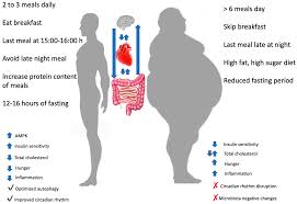 Learn more about managing cholesterol according to therapeutic lifestyle changes for a healthier lifestyle from the doctors at the cleveland clinic focus first on the foods in your diet that are high in saturated fat and cholesterol. Nutrients Free Full Text The Influence Of Meal Frequency And Timing On Health In Humans The Role Of Fasting Html